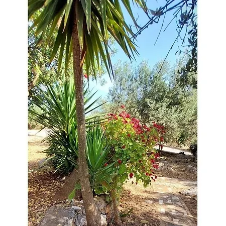 Semesterbostad Lagoudis Comfortable