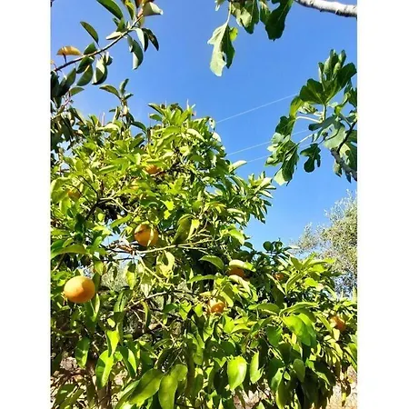 Lagoudis Comfortable Casa vacanze *