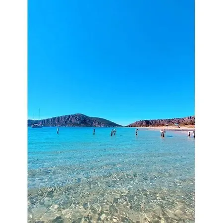 Lagoudis Comfortable *