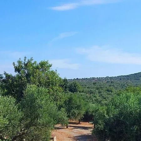 Lagoudis Comfortable Casa vacanze *