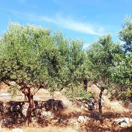 Lagoudis Comfortable Kalianeika