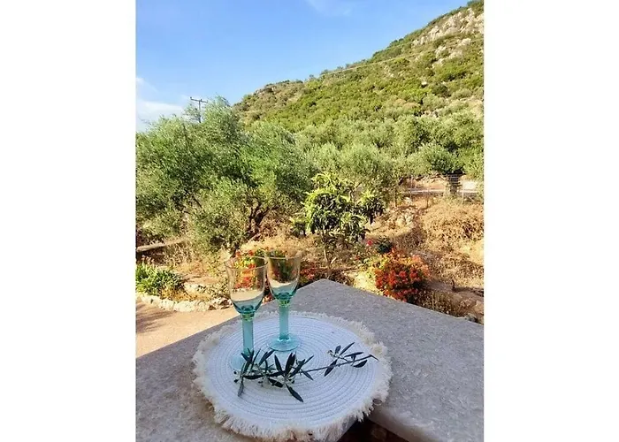 Lagoudis Comfortable