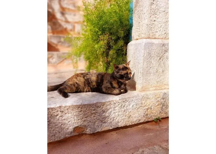 Lagoudis Comfortable * Kalianeika