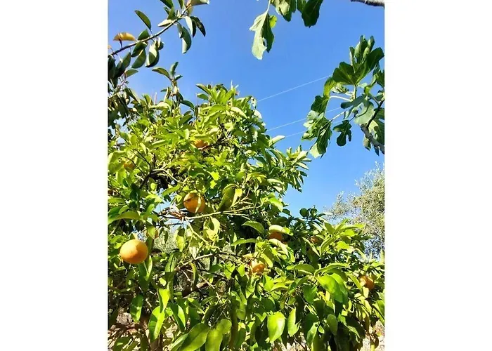 Lagoudis Comfortable Σπίτι διακοπών *