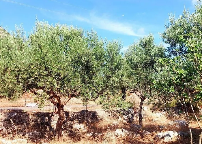 Lagoudis Comfortable Kalianeika